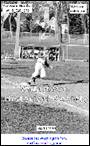 A picture containing person, outdoor, player, standing

Description automatically generated
