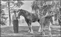 A person standing next to a horse

Description automatically generated