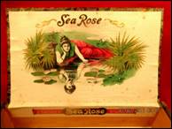 A box of sea rose tea

Description automatically generated with low confidence